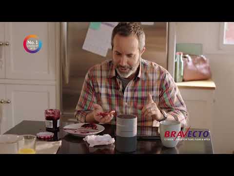 Bravecto TV Ad - Remember Tick and Flea Protection Video