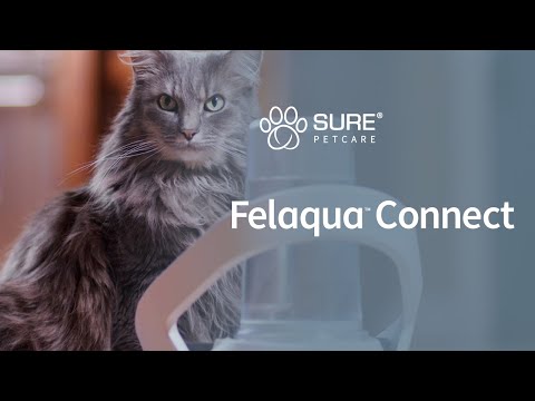 Felaqua Connect From Sure Petcare Video