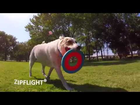 Chuckit! Zipflight Video