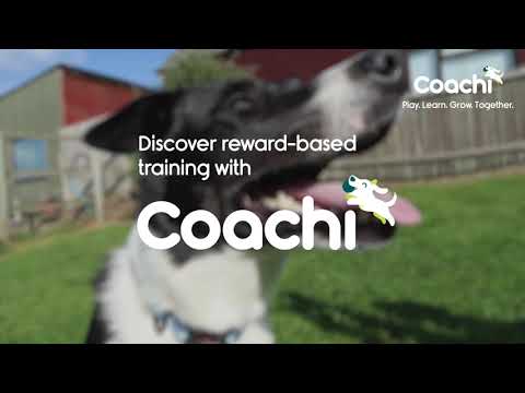 Coachi Dog Training Toys Video