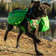 Ruffwear Approach Day Pack - DISC SUPP AS & AJ Ruffwear