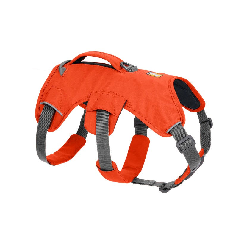Ruffwear Webmaster Multi-Use Harness - DISC SUPP AS Ruffwear