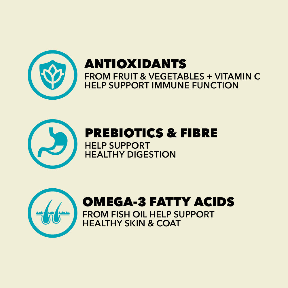 Acana Classics Wild Coast Recipe Dog Food – key benefits graphic (buy in South Africa)