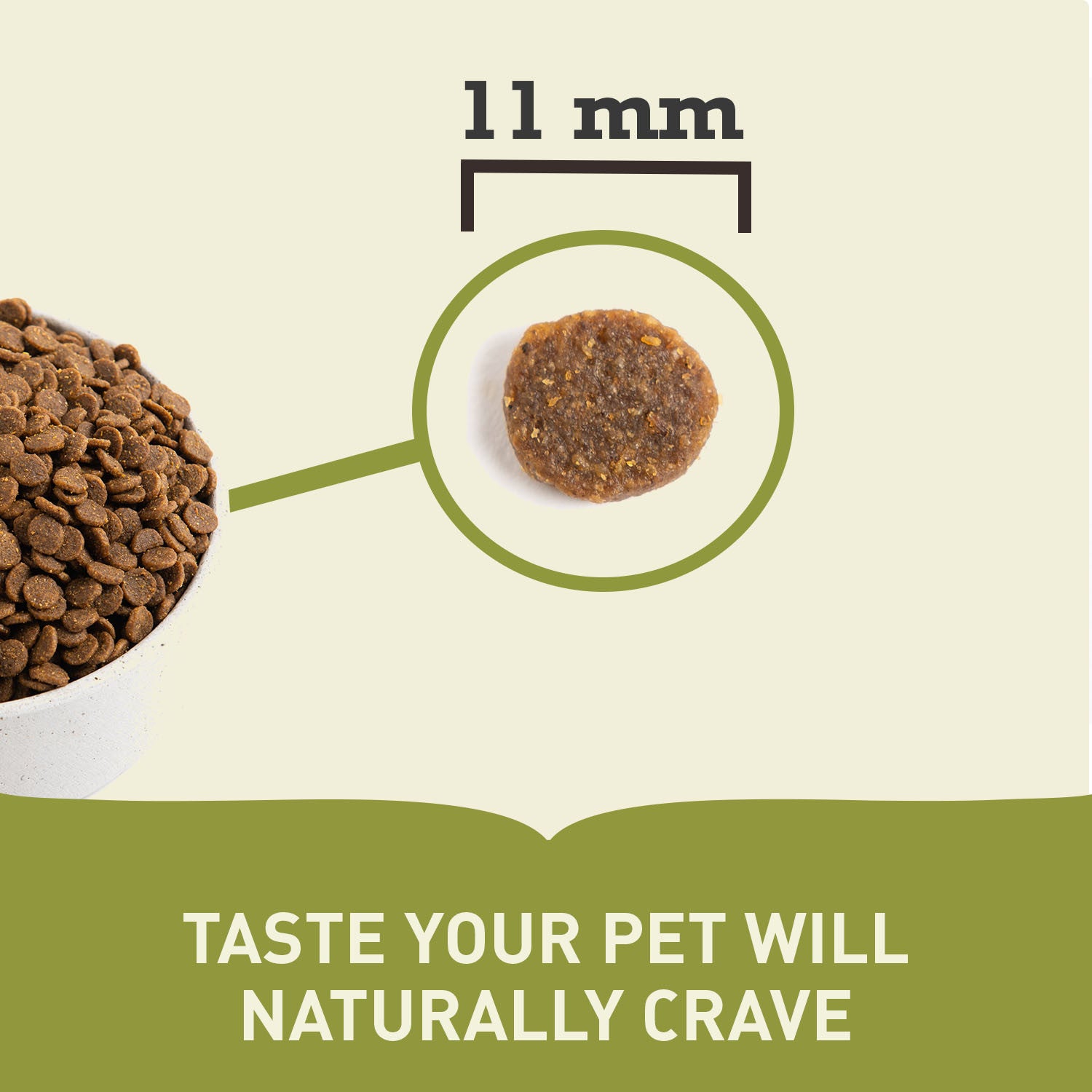 Acana Adult Small Breed Recipe Dog Food – lifestyle image (Canine & Co (South Africa))
