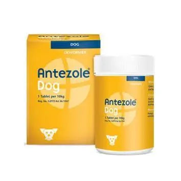Antezole Dog dewormer packaging with a tablet container for canine health.