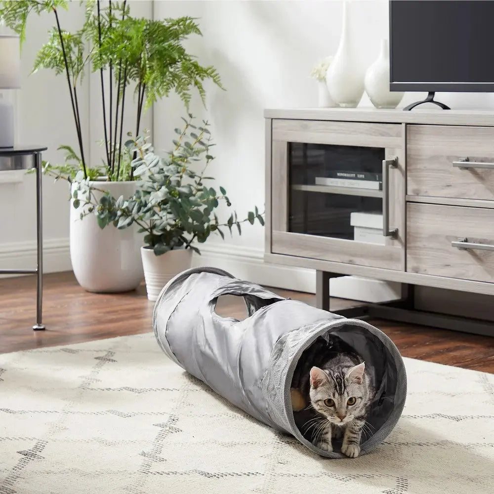 Cat playing in a gray tunnel toy in a cozy living room with plants and modern furniture.