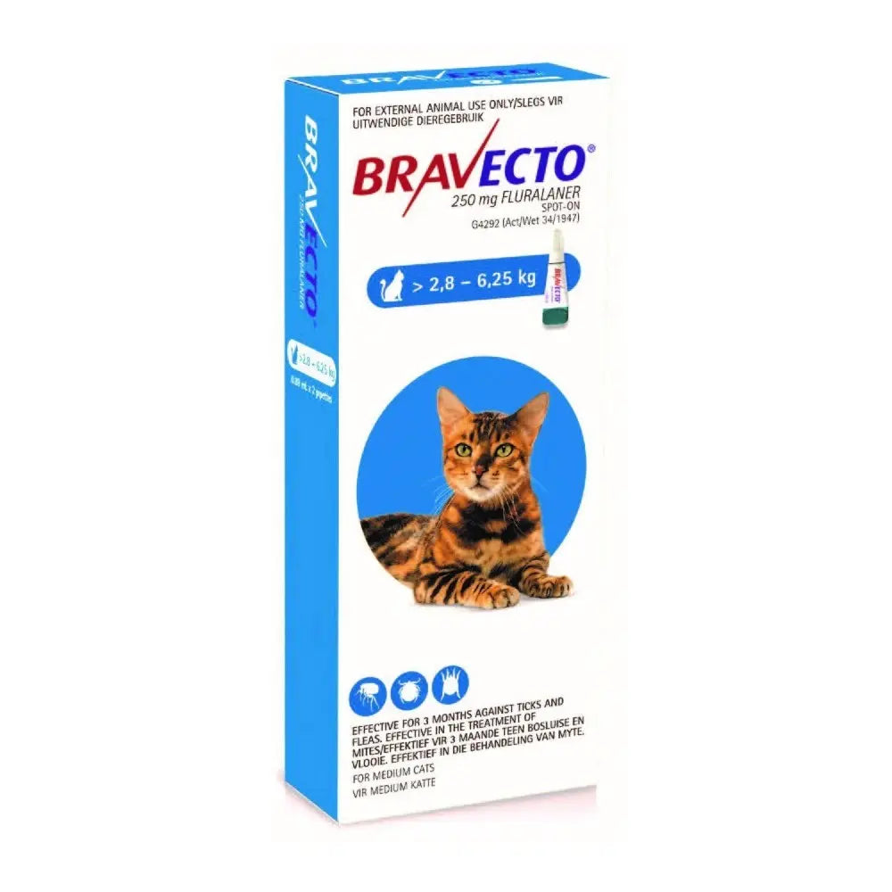 Bravecto flea and tick treatment for cats, 250 mg, effective for up to 3 months.