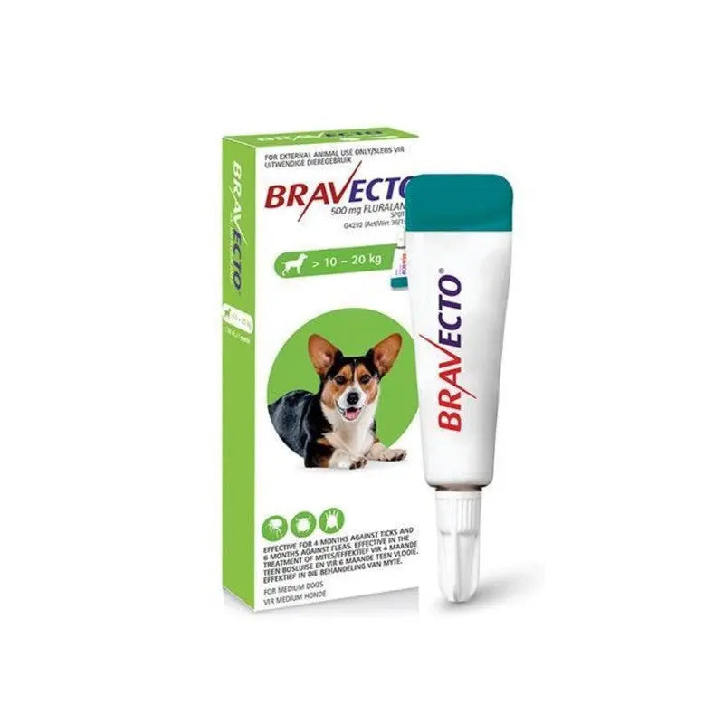 Bravecto topical treatment for dogs, effective against fleas and ticks, suitable for pets 10-20 kg.