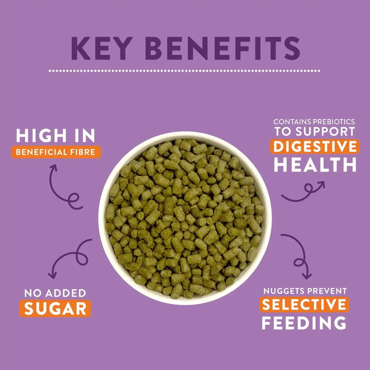 Dog food nuggets in a bowl highlighting benefits: high in fiber, no added sugar, supports digestive health.