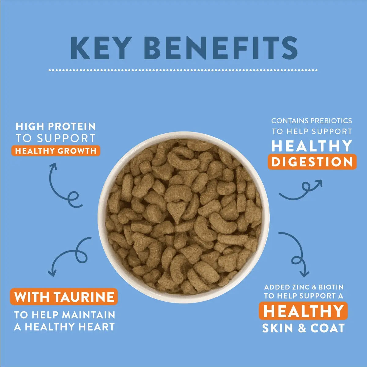 Dog food benefits infographic highlighting protein, digestion, heart health, and skin support.