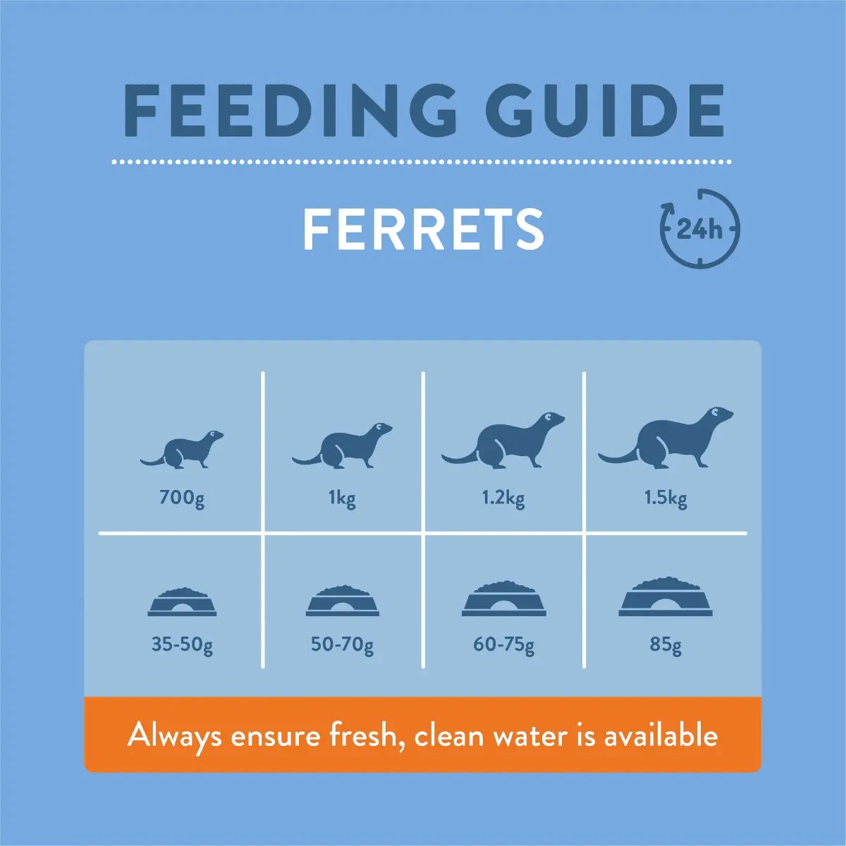Feeding guide infographic for ferrets, detailing portion sizes and water availability.