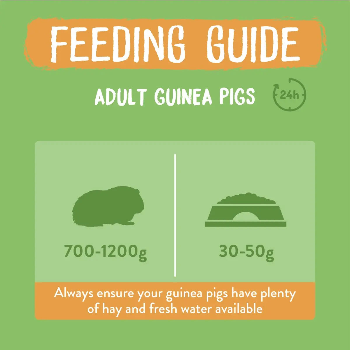 Feeding guide for adult guinea pigs, highlighting weight and food recommendations.