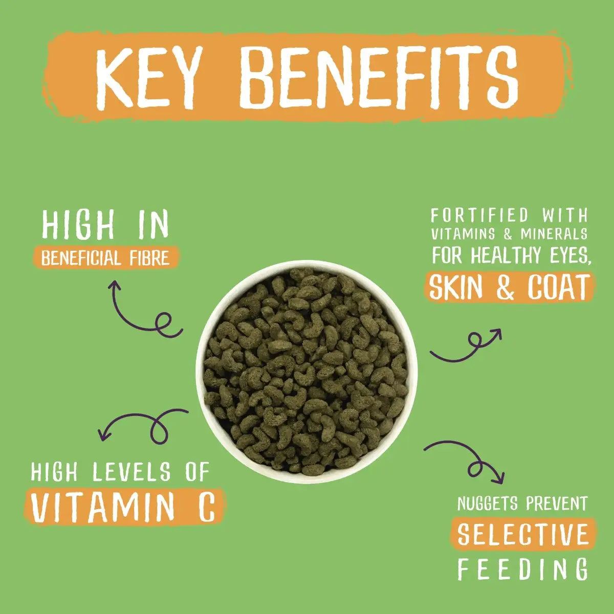 Infographic highlighting key benefits of pet food, including fiber, vitamins, and selective feeding.