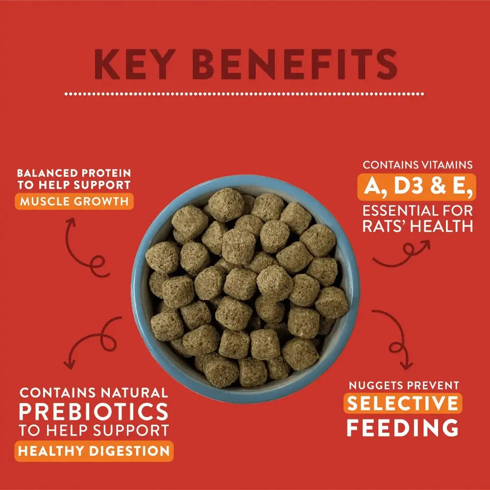 Bowl of nutrient-rich rat food nuggets highlighting key health benefits and balanced protein for muscle growth.
