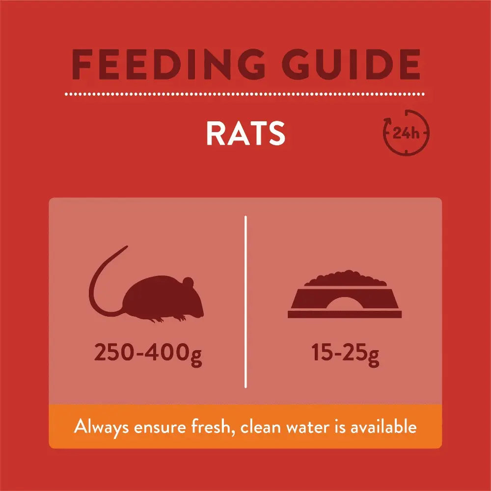 Feeding guide for rats, detailing weight and food portion recommendations.