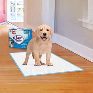Wee-Wee Super Absorbent Dog Training Pads