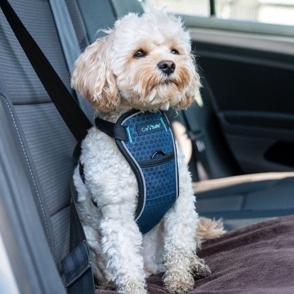 Company of Animals CarSafe Crash-Tested Harness - product detail image available in South Africa