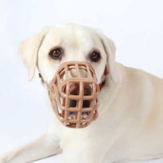Labrador wearing a brown basket muzzle for safe and comfortable dog training.