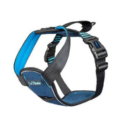 Dog harness with adjustable straps and breathable mesh for comfort and safety during walks.