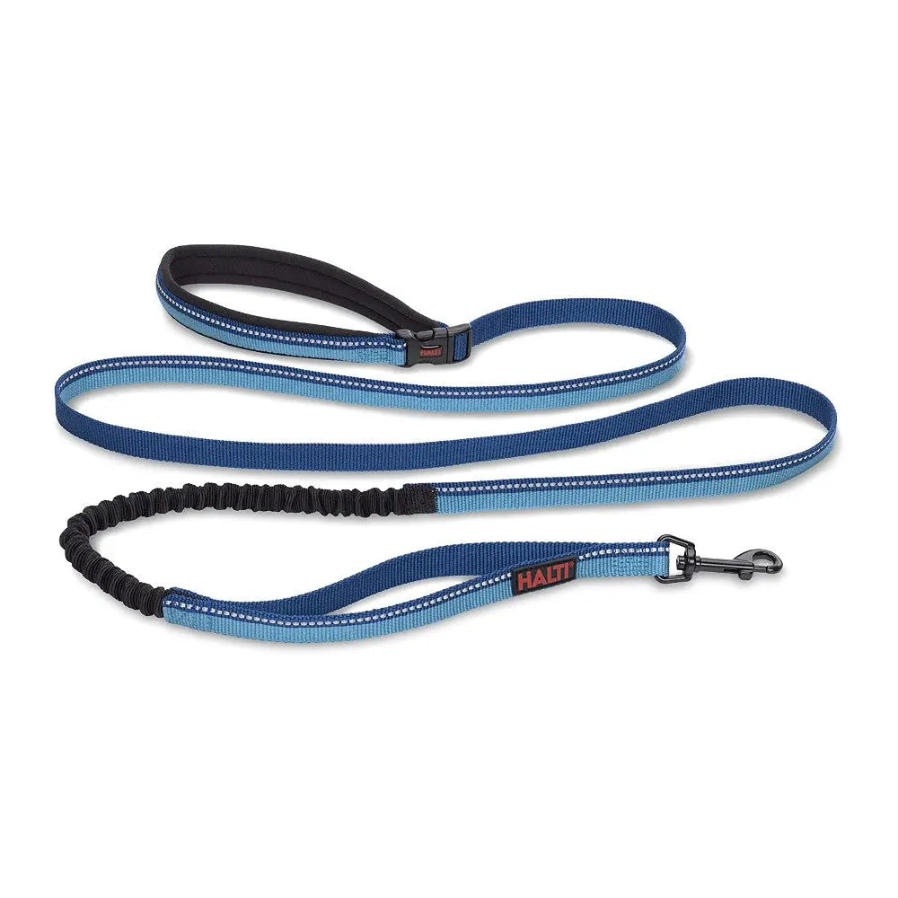 Durable blue dog leash with padded handle and reflective stitching for safety during walks.