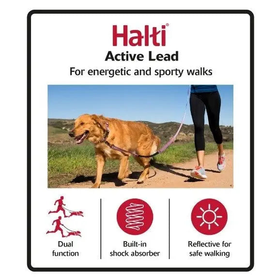 Halti Active Lead for energetic walks, featuring a shock absorber and reflective design for safety.