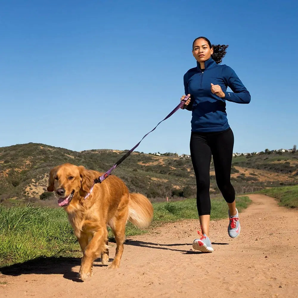 Woman jogging with a golden retriever on a sunny trail, promoting an active lifestyle for pet owners.