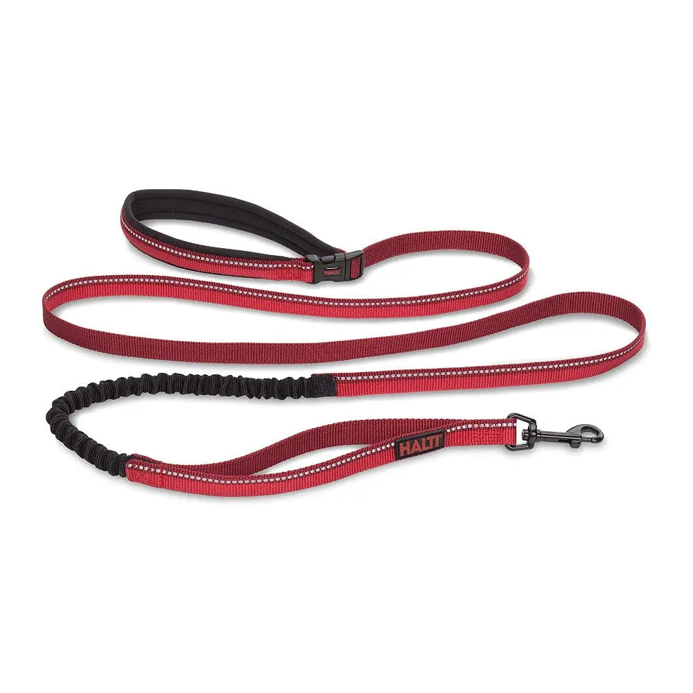 Red bungee dog leash with padded handle and durable clip for comfortable walks.