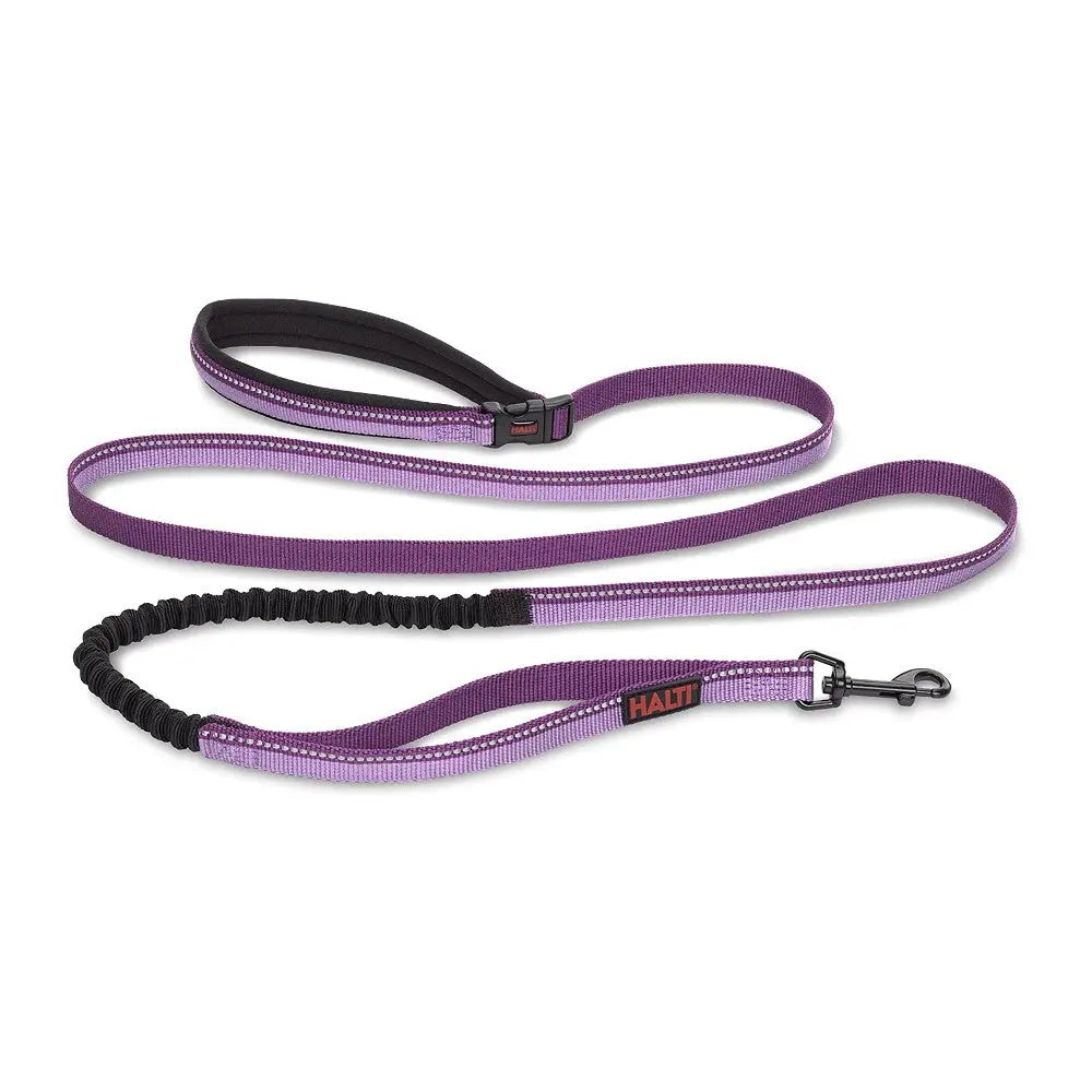 Purple bungee dog leash with reflective stitching for enhanced visibility and comfort during walks.