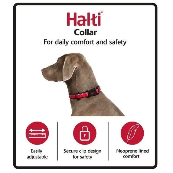 Halti collar for dogs, featuring adjustable fit, secure clip, and neoprene-lined comfort for daily safety.