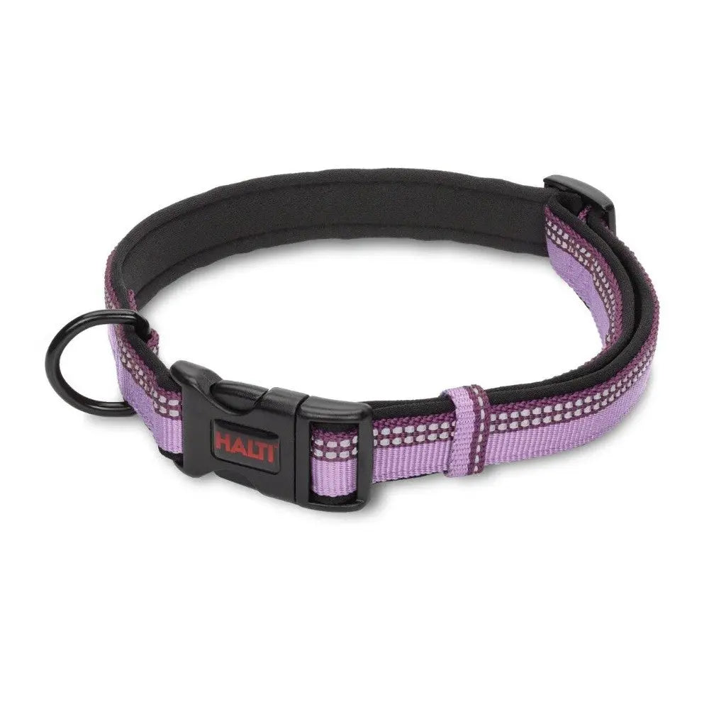 Purple dog collar with padded lining and reflective stitching for safety and comfort.