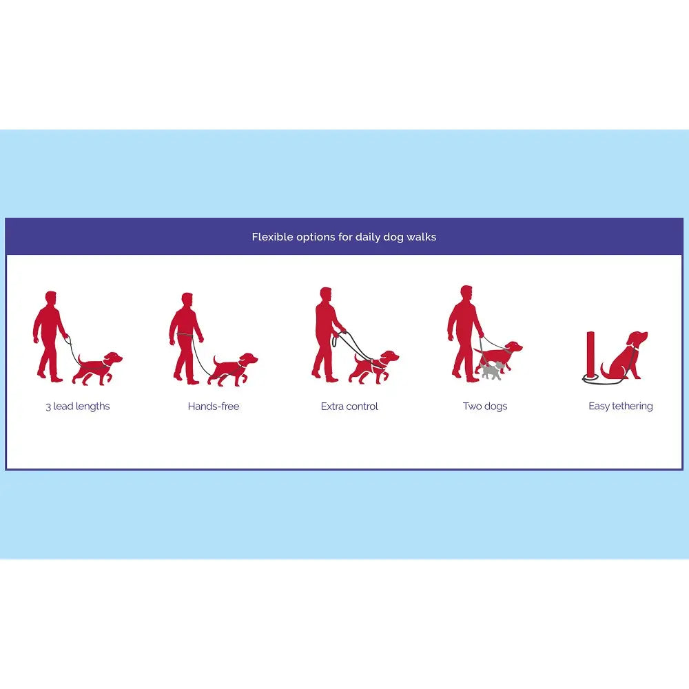 Infographic showing flexible options for daily dog walks with various leash configurations.