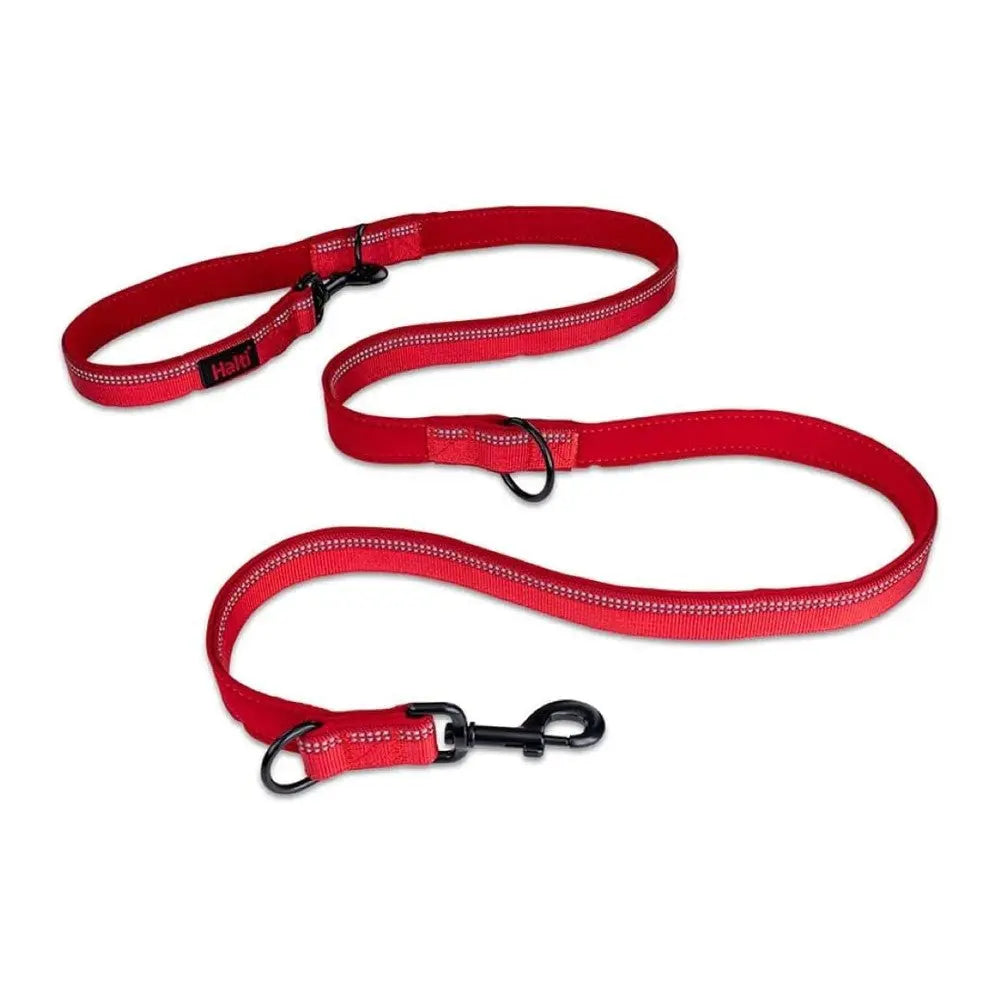 Red dog leash with reflective stitching and durable clips for safe walks.