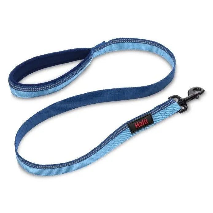 Durable blue dog leash with padded handle and reflective stitching for safety during walks.