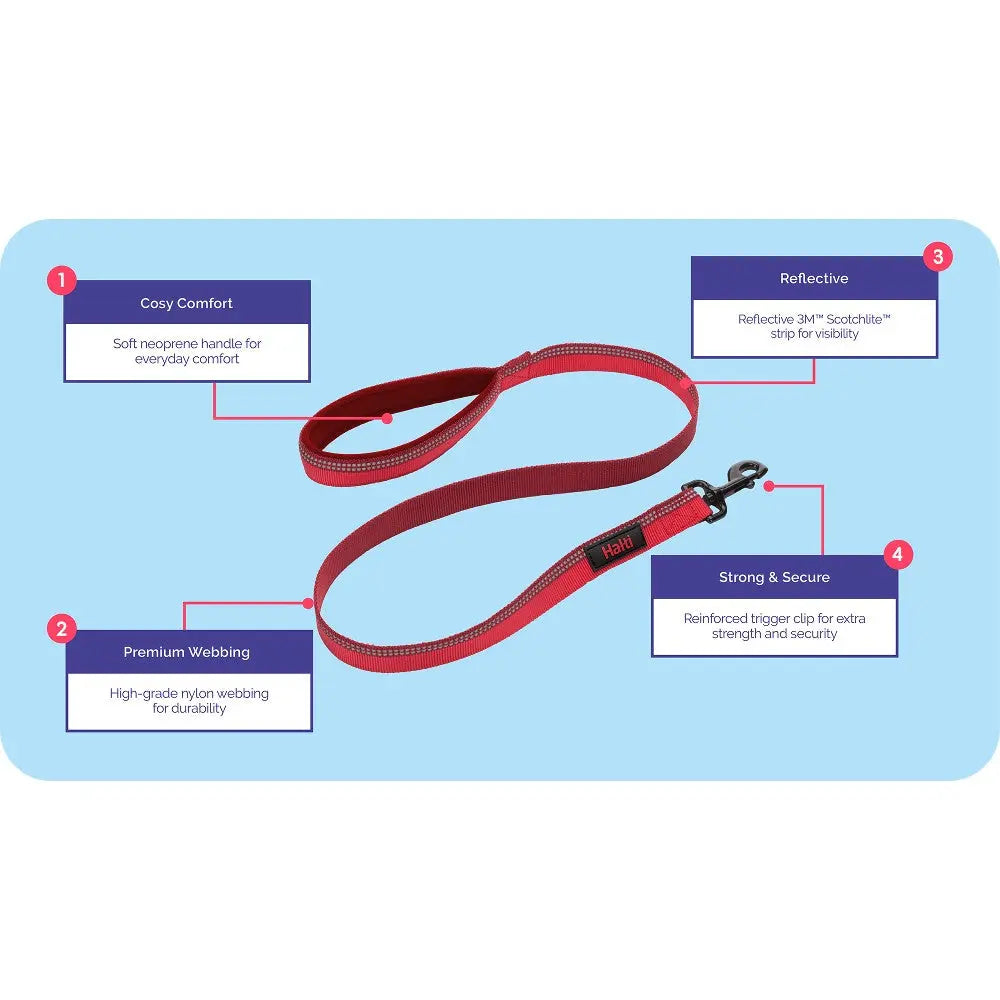 Red dog leash with reflective strip, soft handle, and durable webbing for comfort and safety.