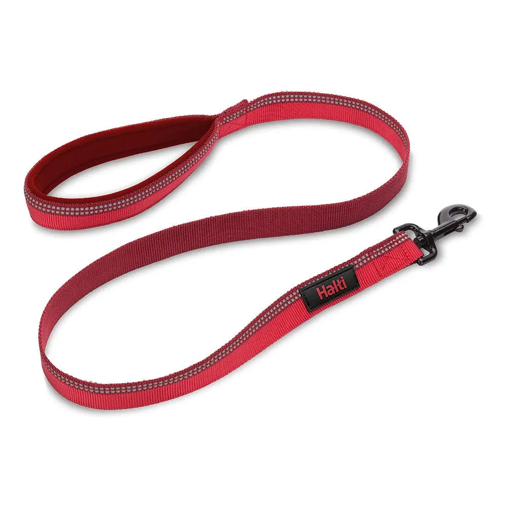 Durable red dog leash with reflective stitching for safety during walks.