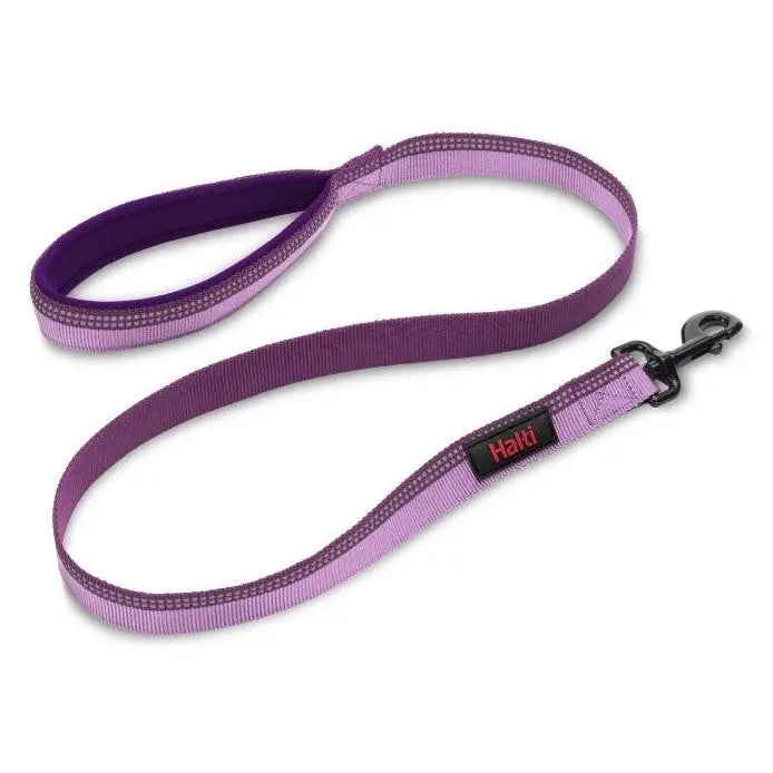 Purple dog leash with padded handle and durable clip for comfortable walks.