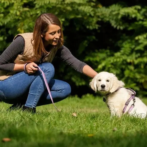 Woman with a dog on a leash enjoying a sunny day in a green park.
