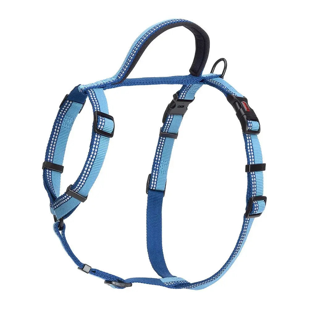 Blue dog harness with adjustable straps and a comfortable design for secure walks.