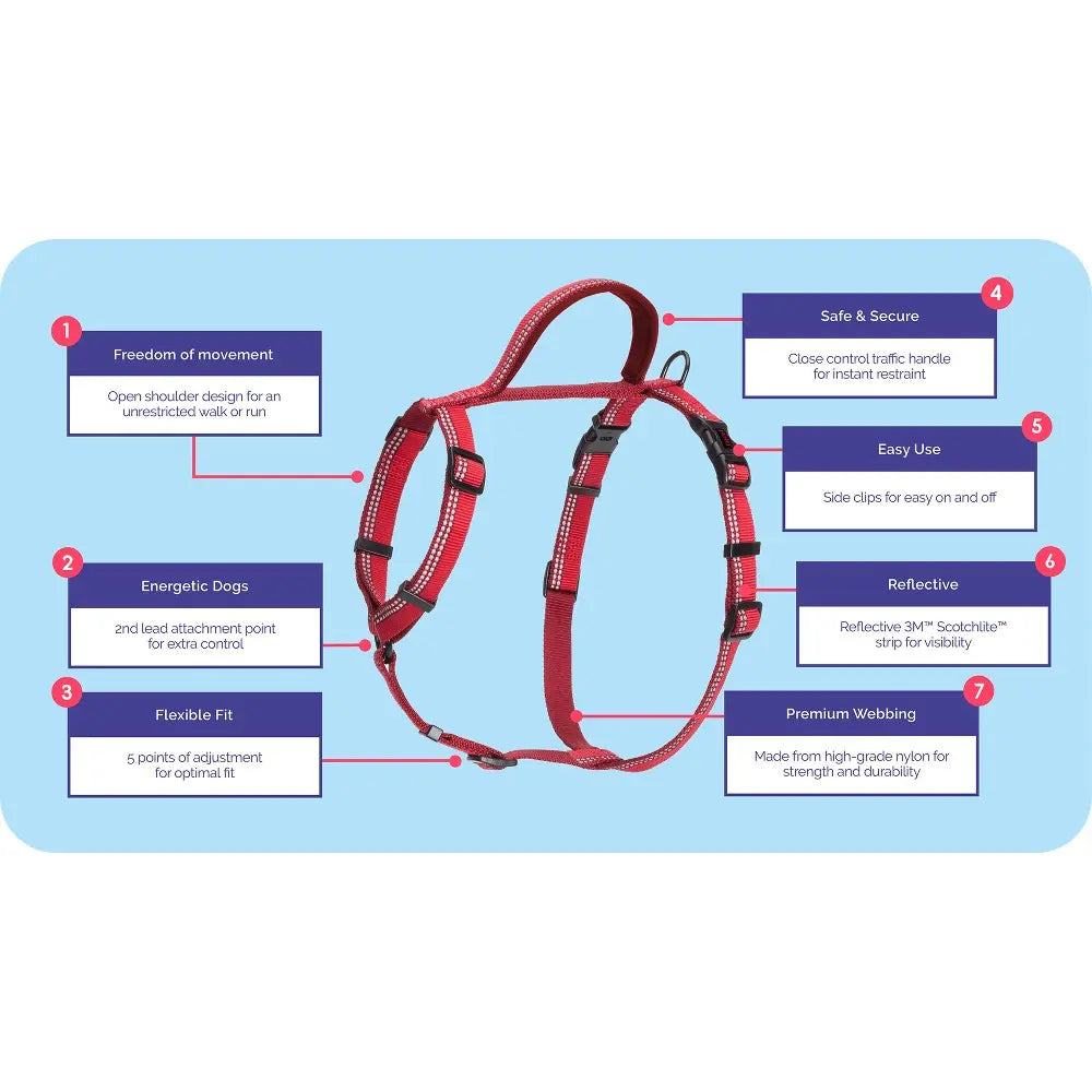 Red dog harness infographic highlighting features like safety, flexibility, and reflective design for energetic dogs.