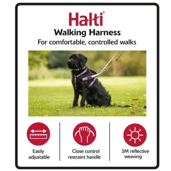 Halti walking harness for dogs, featuring adjustable fit and reflective weaving for safe, controlled walks.