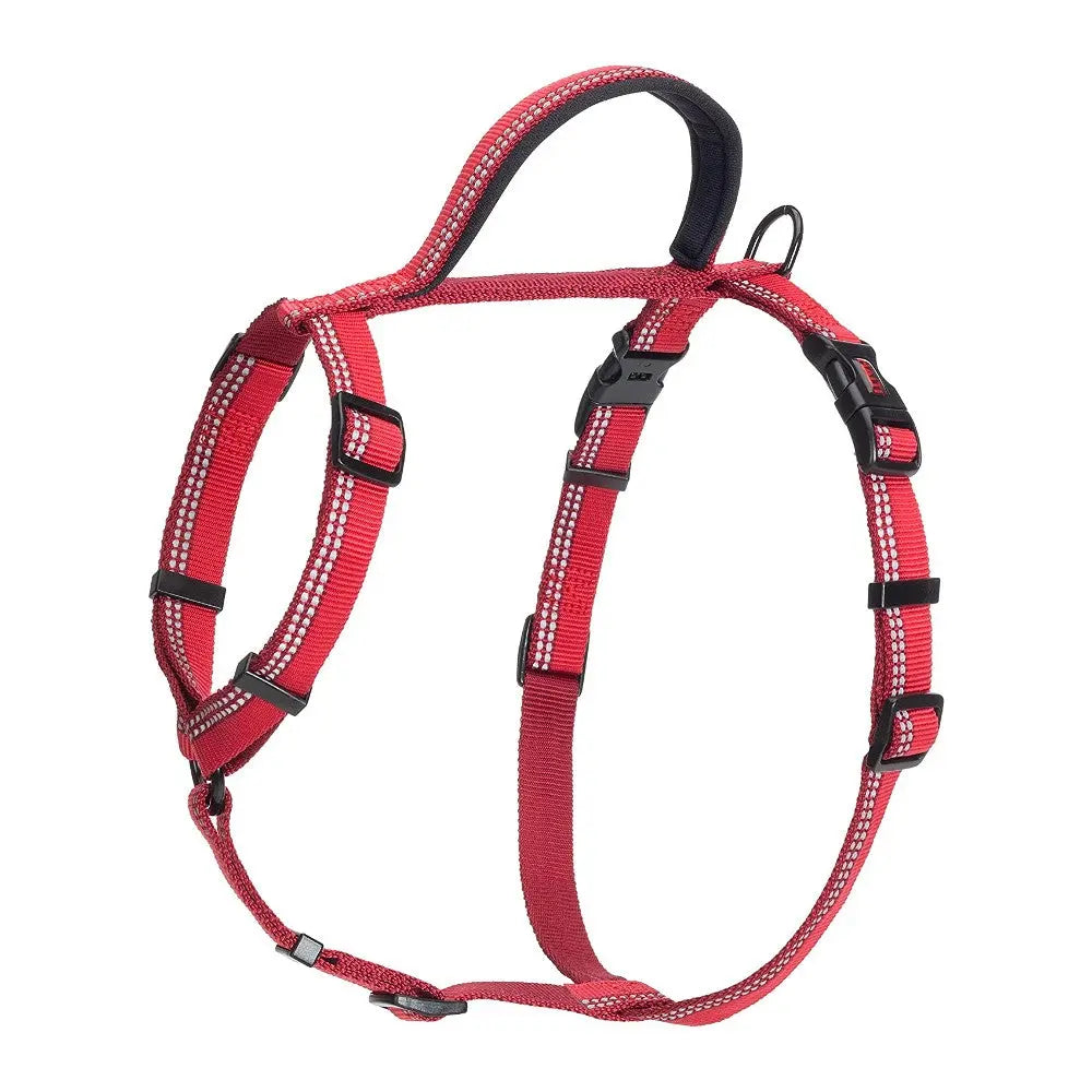 Red dog harness with adjustable straps and reflective stitching for safety and comfort.