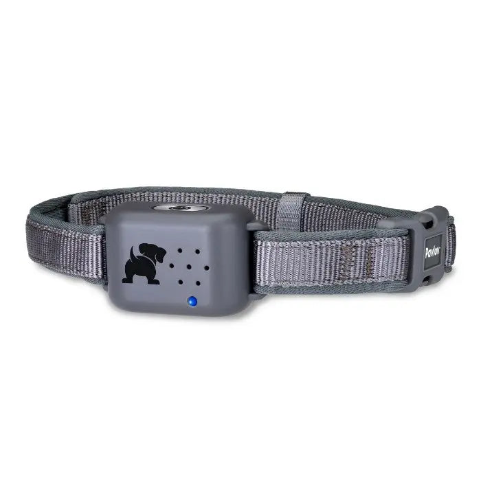 Dog training collar with adjustable strap and built-in sound feature for effective training.