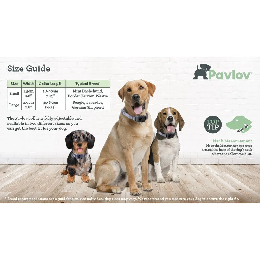 Size guide for Pavlov collars featuring three dog breeds and measurement tips for the perfect fit.