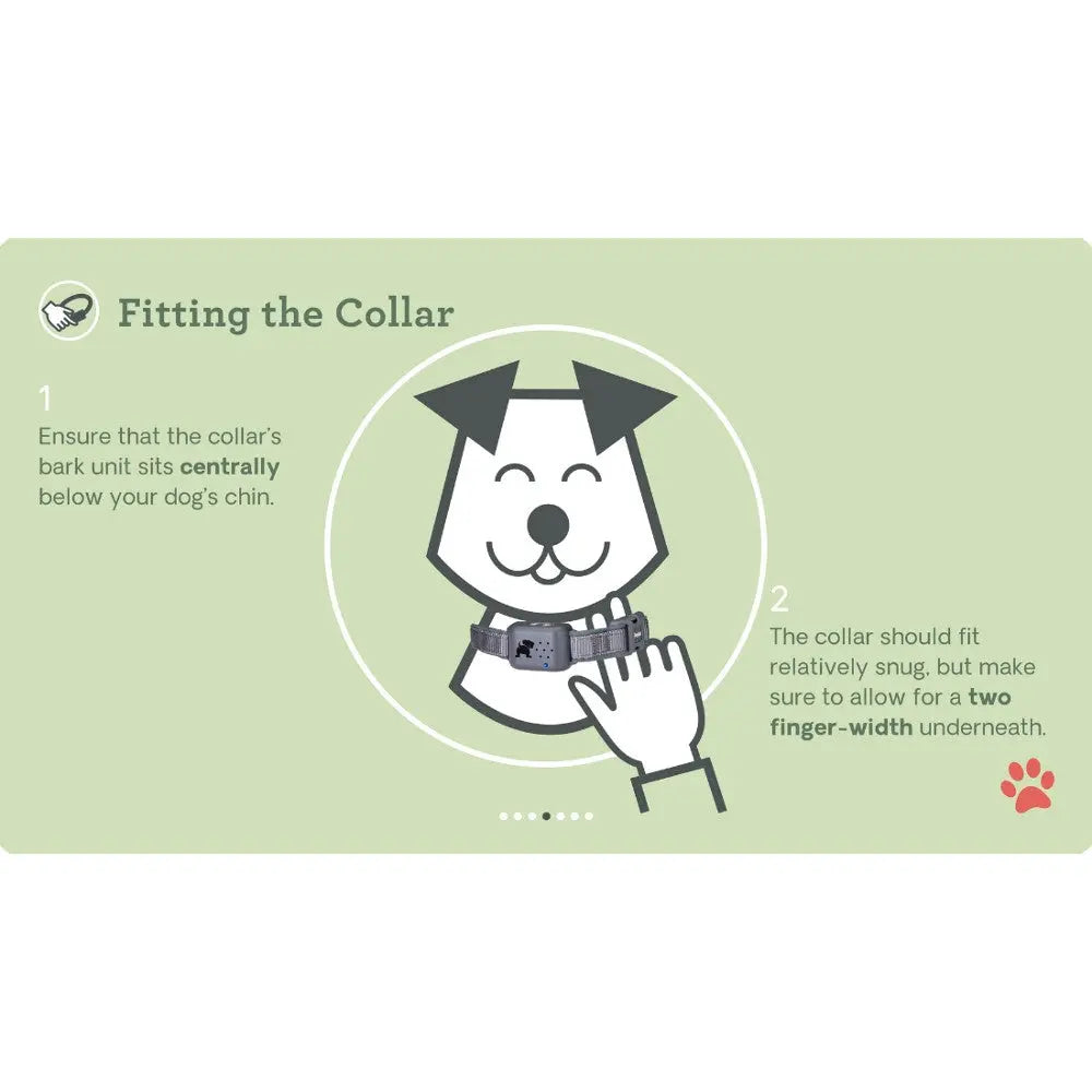 Illustration showing how to fit a dog collar properly for comfort and safety.