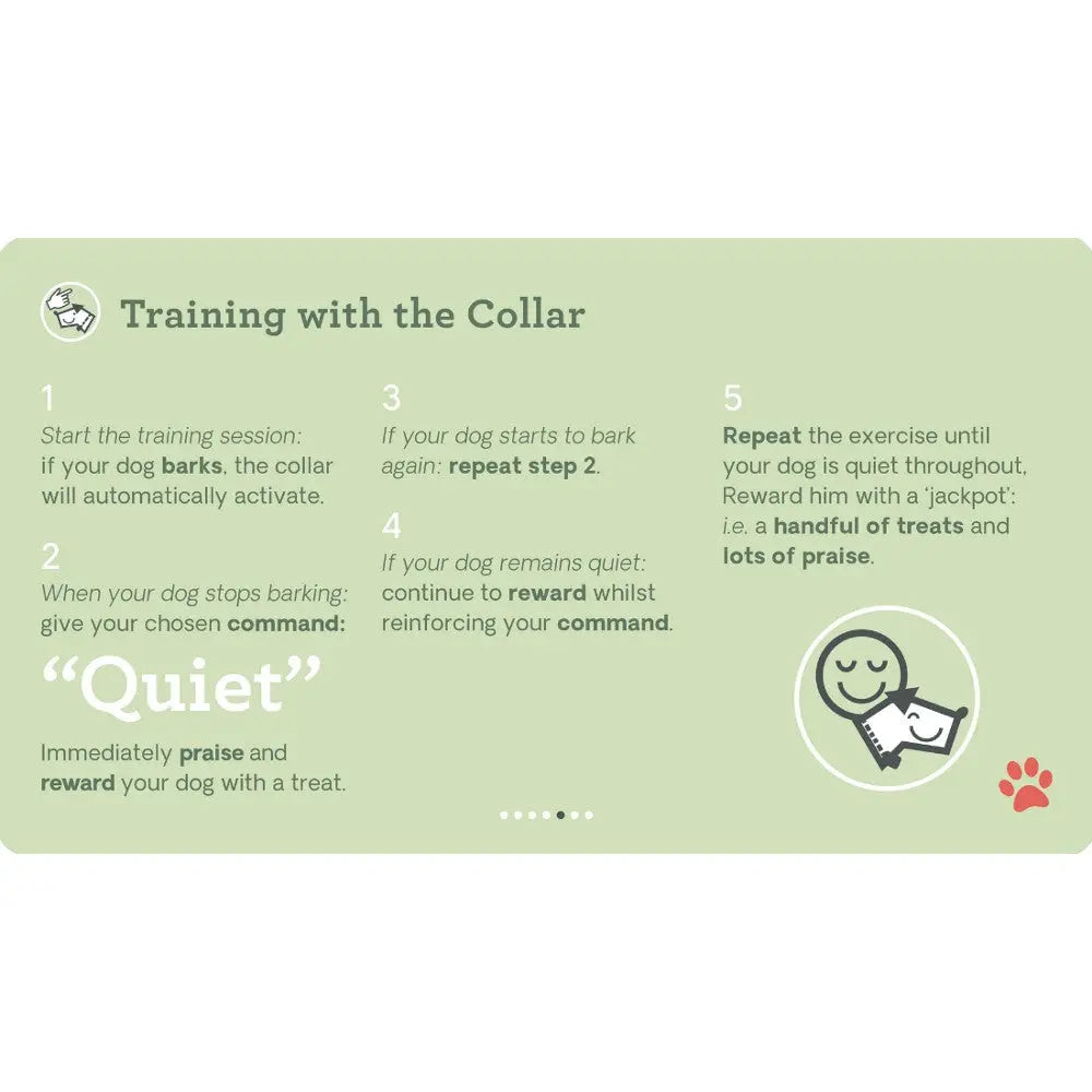 Training guide for dog collar use, featuring commands and reward tips for effective training.