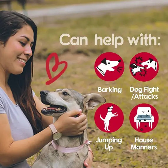 Woman interacting with a dog, highlighting training tips for barking, jumping, and house manners.