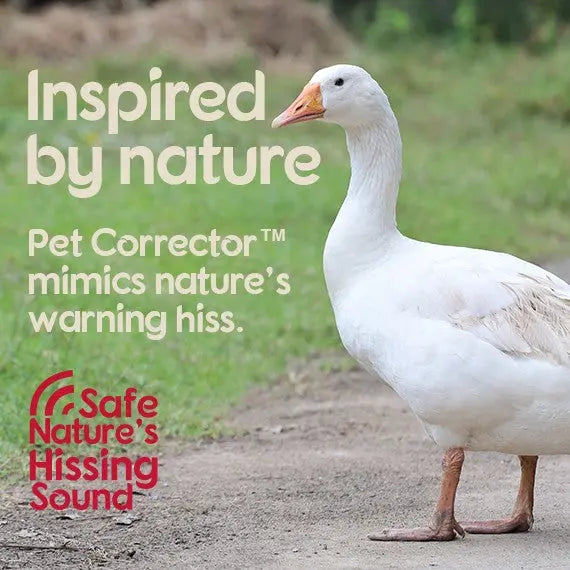 Pet Corrector™ mimics nature's warning hiss to deter unwanted behavior in pets.