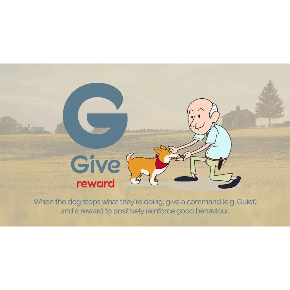 Illustration of a man rewarding a dog with a treat for good behavior in a scenic outdoor setting.