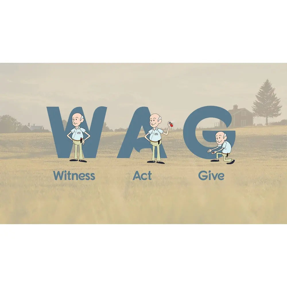 Cartoon illustration promoting the WAG concept: Witness, Act, Give in a serene outdoor setting.
