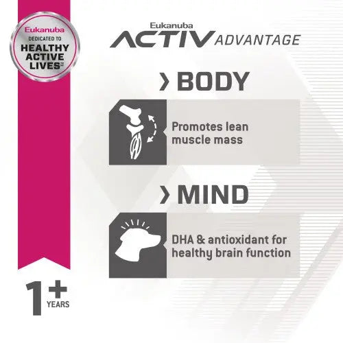 Eukanuba Activ Advantage infographic highlighting benefits for body and mind in dogs over one year old.